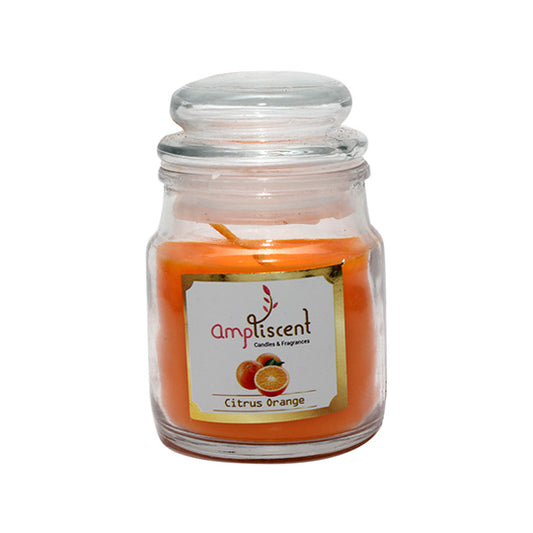 Ampliscent Small Tumbler Candles - Citrus Orange (Pack of 1)