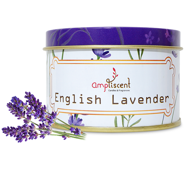 Ampliscent Tin Candles - English Lavender (Pack of 1)