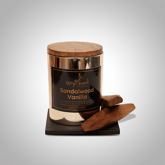 Ampliscent Exotic Candles - Sandalwood Vanilla Gold Finish  (Pack of 1)